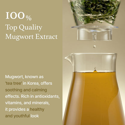 I'm from Mugwort Essence 160 mL 